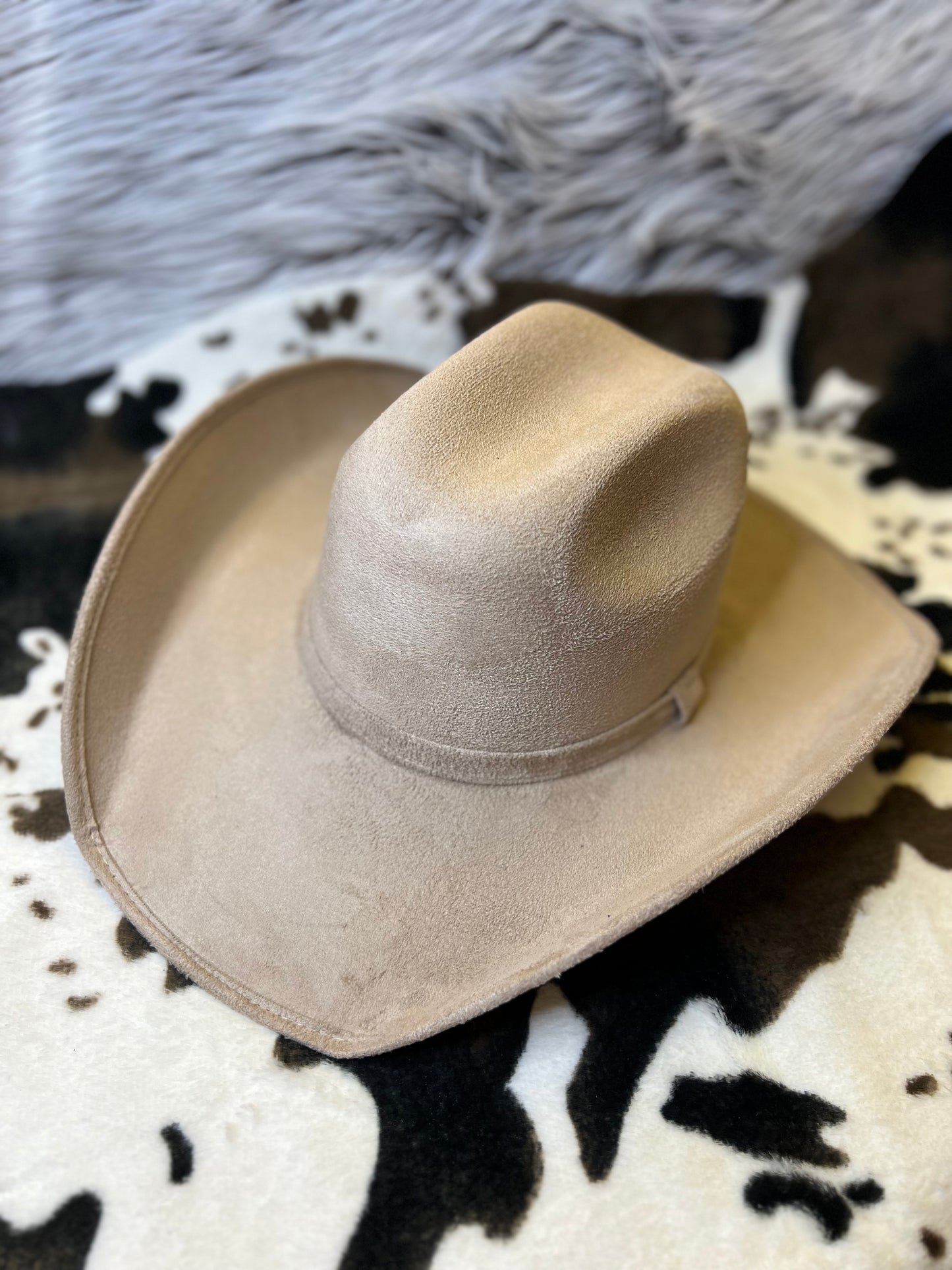 Tan Chihuahua Tejana