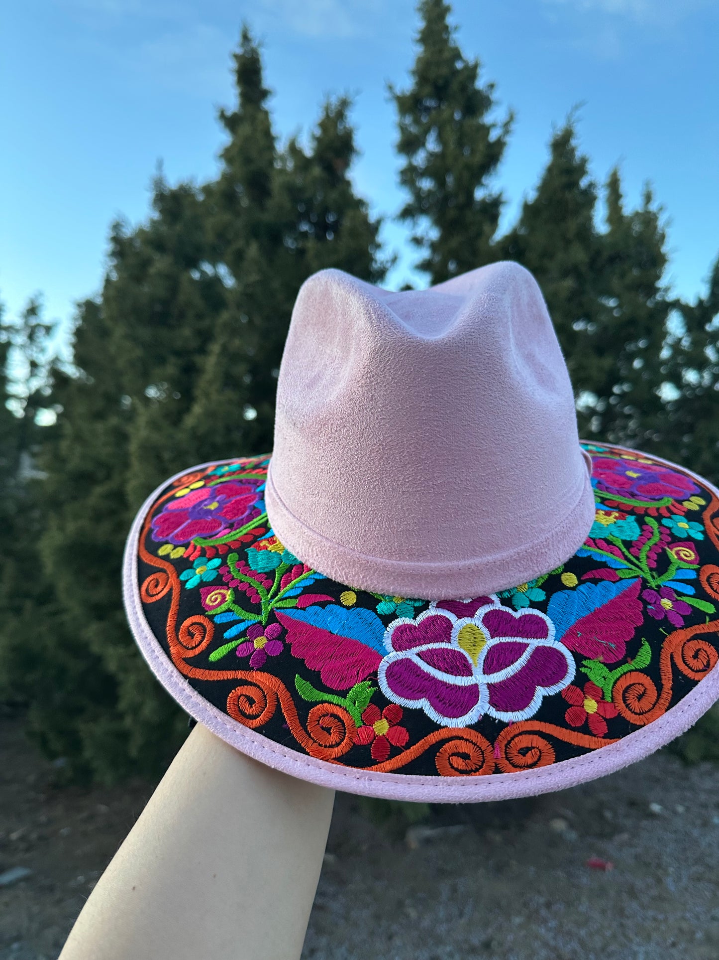 Embroidered Indiana Hat