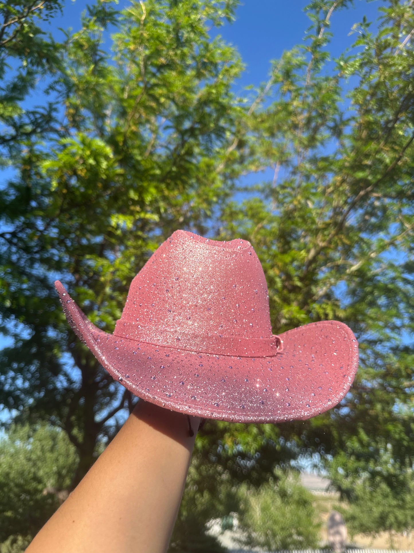 Barbie Sparkle Tejana